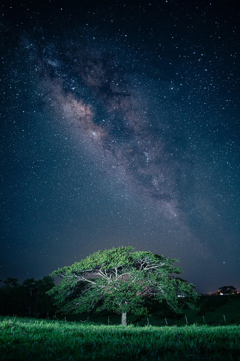 Milky Way Galaxy
